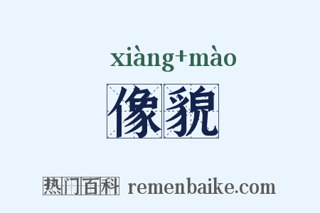 像貌是什么意思的图片